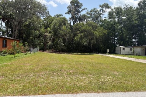 Terrain à Belleview, Floride № 2149450