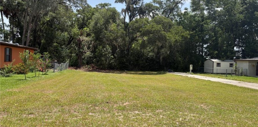 Terrain à Belleview, Floride № 2149450