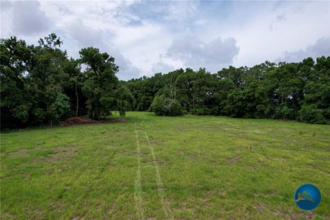 Casa en venta en High Springs, Florida, 5 dormitorios, 334.45 m2 № 1767926 - foto 9