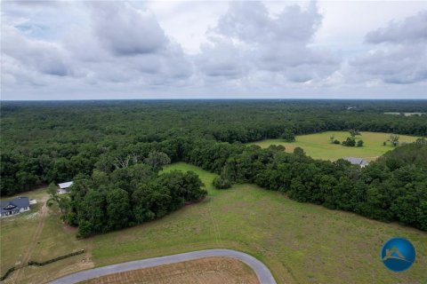 Casa en venta en High Springs, Florida, 5 dormitorios, 334.45 m2 № 1767926 - foto 6