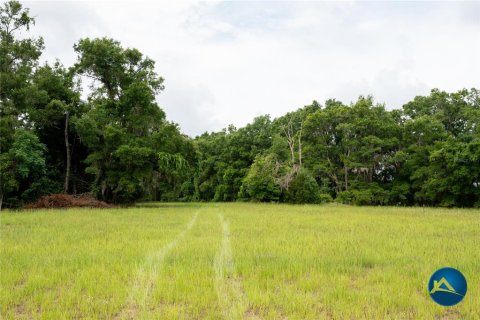 Casa en venta en High Springs, Florida, 5 dormitorios, 334.45 m2 № 1767926 - foto 8