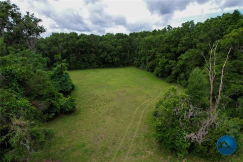 Casa en venta en High Springs, Florida, 5 dormitorios, 334.45 m2 № 1767926 - foto 5