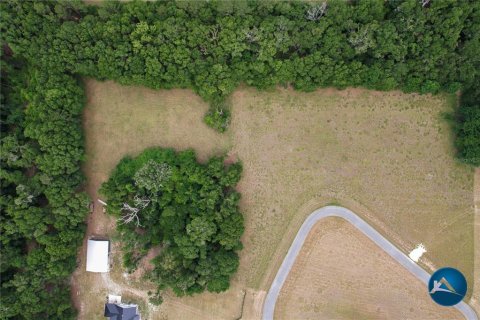 Casa en venta en High Springs, Florida, 5 dormitorios, 334.45 m2 № 1767926 - foto 12