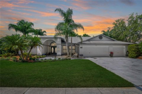 House in Tarpon Springs, Florida 4 bedrooms, 226.4 sq.m. № 1883379 - photo 1