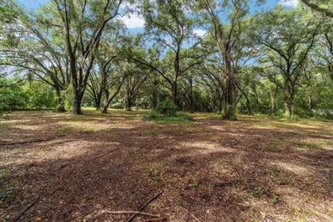 Terreno en venta en Ocklawaha, Florida № 1840248 - foto 9