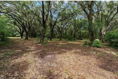 Terreno en venta en Ocklawaha, Florida № 1840248 - foto 8