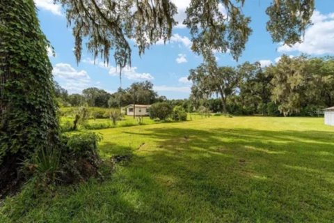Terreno en venta en Ocklawaha, Florida № 1840248 - foto 4