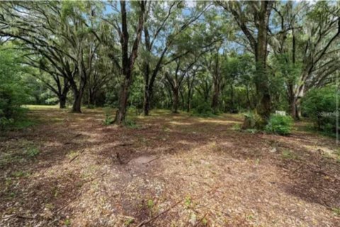 Terreno en venta en Ocklawaha, Florida № 1840248 - foto 6