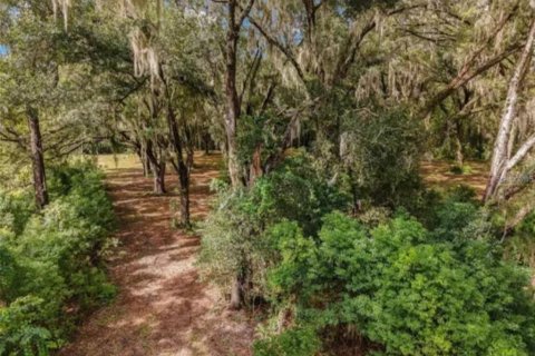 Terreno en venta en Ocklawaha, Florida № 1840248 - foto 5