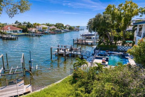 House in Tampa, Florida 5 bedrooms, 563.27 sq.m. № 253035 - photo 10