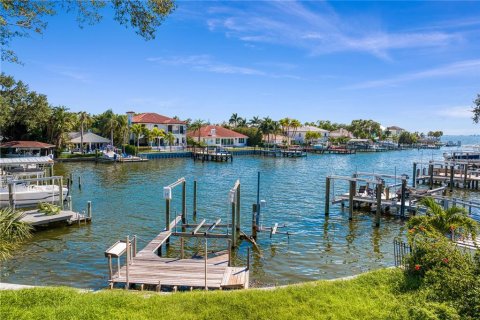 House in Tampa, Florida 5 bedrooms, 563.27 sq.m. № 253035 - photo 6