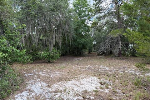 Casa en venta en Lake Wales, Florida, 3 dormitorios, 163.88 m2 № 2198846 - foto 22