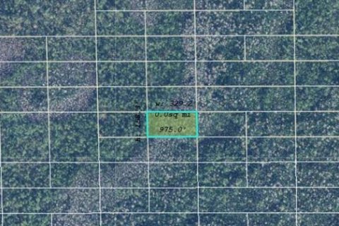Land in Orlando, Florida № 2218738 - photo 2