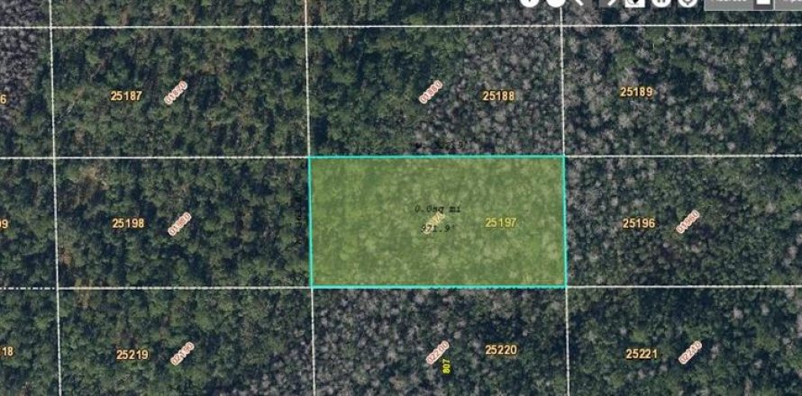 Land in Orlando, Florida № 2218738