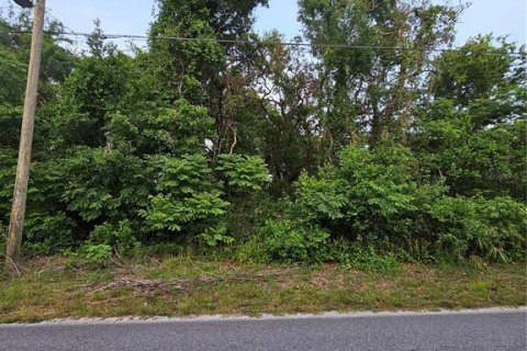 Land in New Port Richey, Florida № 2166004