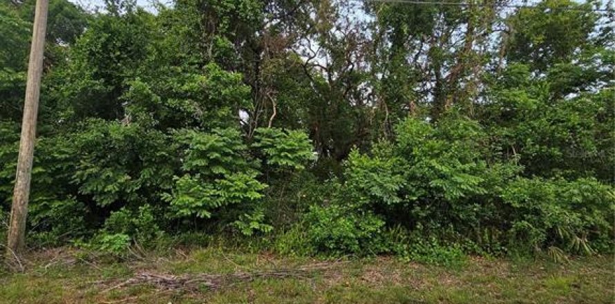 Land in New Port Richey, Florida № 2166004