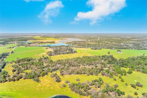 Commercial property in Dade City, Florida 107.02 sq.m. № 2097857 - photo 21