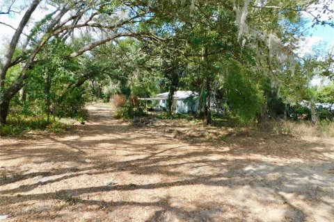 Commercial property in Dade City, Florida 107.02 sq.m. № 2097857 - photo 11