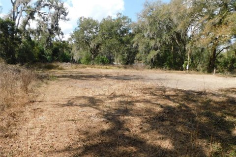 Commercial property in Dade City, Florida 107.02 sq.m. № 2097857 - photo 7