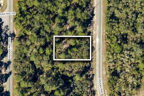 Land in Ocklawaha, Florida № 2310601