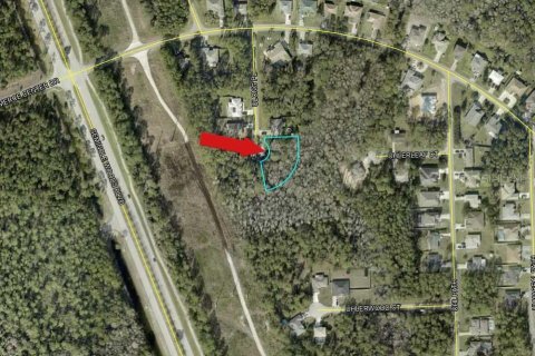 Land in Palm Coast, Florida № 1909391 - photo 3