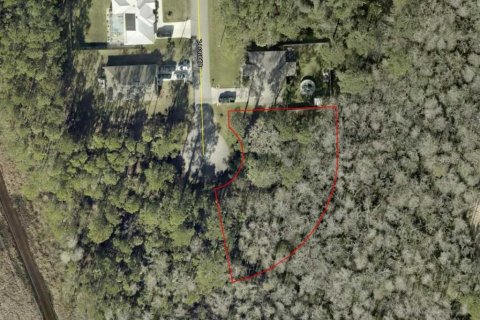 Land in Palm Coast, Florida № 1909391 - photo 1