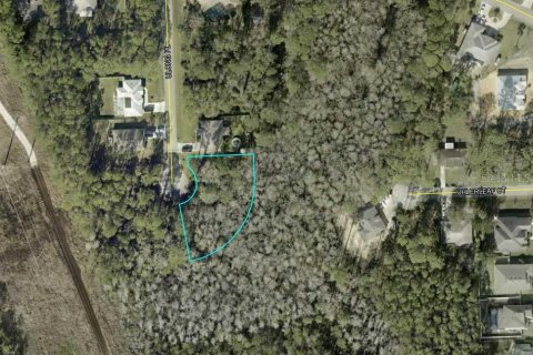 Land in Palm Coast, Florida № 1909391 - photo 2