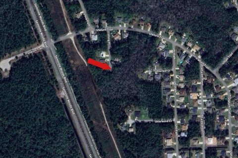 Land in Palm Coast, Florida № 1909391 - photo 4