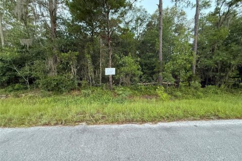 Land in Florahome, Florida № 2160169