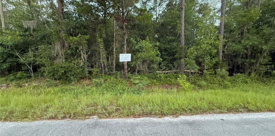 Land in Florahome, Florida № 2160169