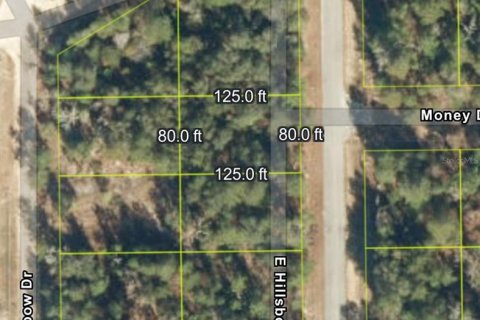 Land in Florahome, Florida № 2160169 - photo 10