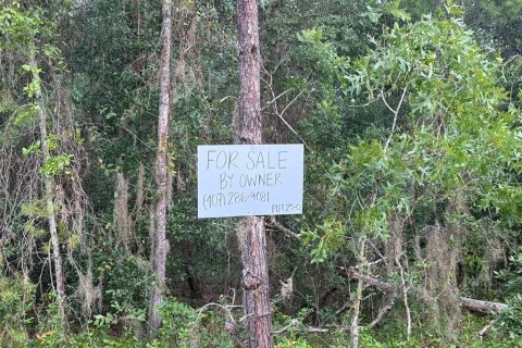 Land in Florahome, Florida № 2160169 - photo 4