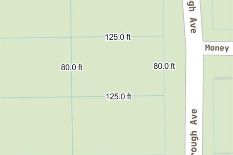 Land in Florahome, Florida № 2160169 - photo 3