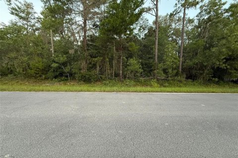 Land in Florahome, Florida № 2160169 - photo 8