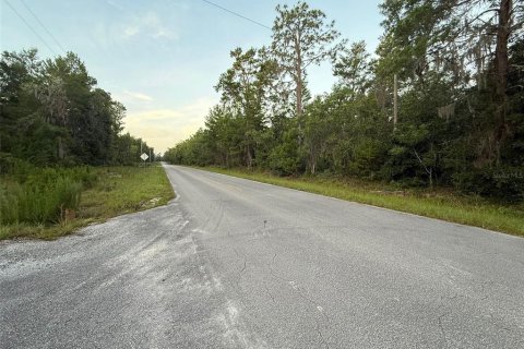 Land in Florahome, Florida № 2160169 - photo 7