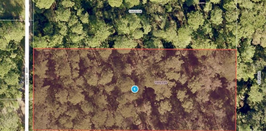 Land in DeLand, Florida № 1746645