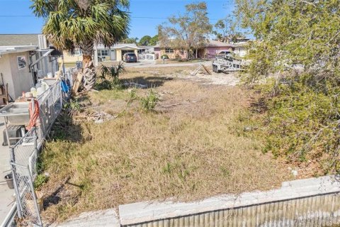 Land in Hudson, Florida № 2206095 - photo 9