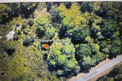 Land in Lehigh Acres, Florida № 2160040 - photo 2