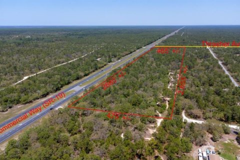 Land in Weeki Wachee, Florida № 2218709 - photo 3