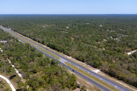 Land in Weeki Wachee, Florida № 2218709 - photo 7
