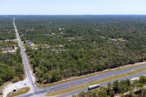 Land in Weeki Wachee, Florida № 2218709 - photo 6