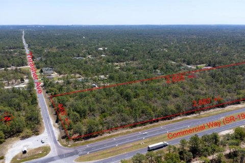 Land in Weeki Wachee, Florida № 2218709 - photo 4