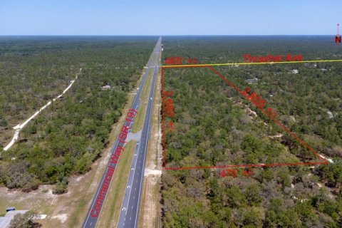 Land in Weeki Wachee, Florida № 2218709 - photo 2