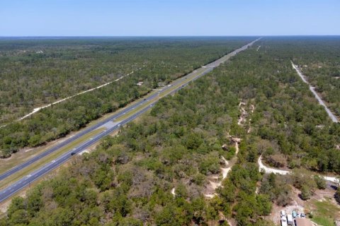 Land in Weeki Wachee, Florida № 2218709 - photo 10
