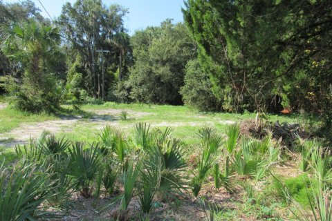 Terreno en venta en Palatka, Florida № 772080 - foto 1