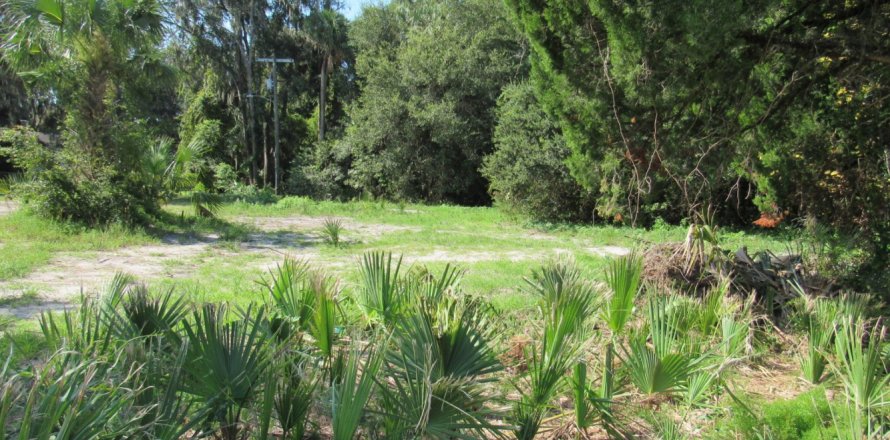 Terreno en Palatka, Florida № 772080