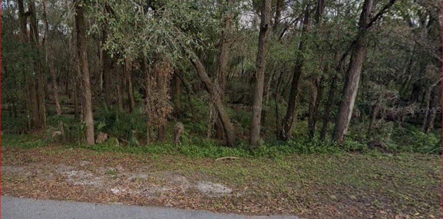 Terrain à Orlando, Floride № 1432077