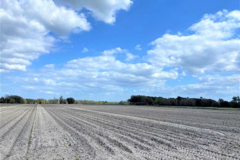 Land in Alachua, Florida № 215369 - photo 12