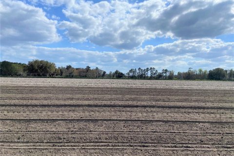 Land in Alachua, Florida № 215369 - photo 11