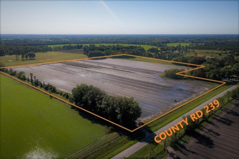 Land in Alachua, Florida № 215369 - photo 17